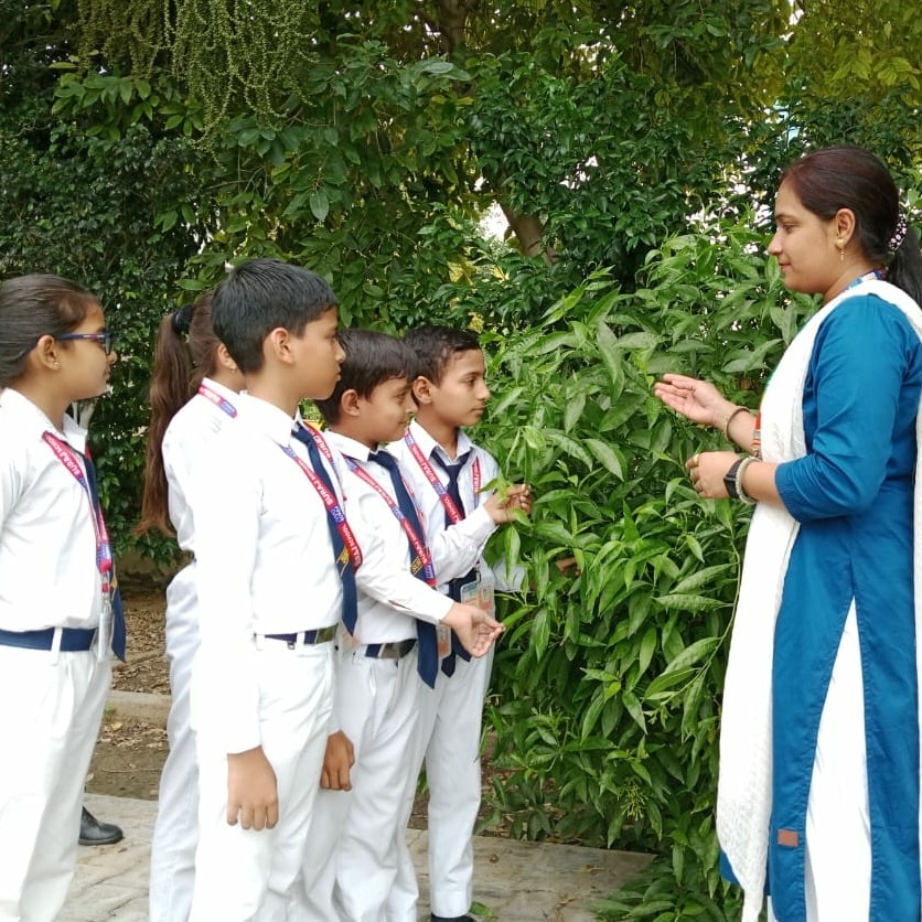 Suraj School Mahendergarh