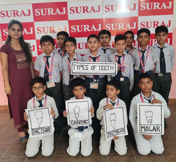 Suraj School Mahendergarh