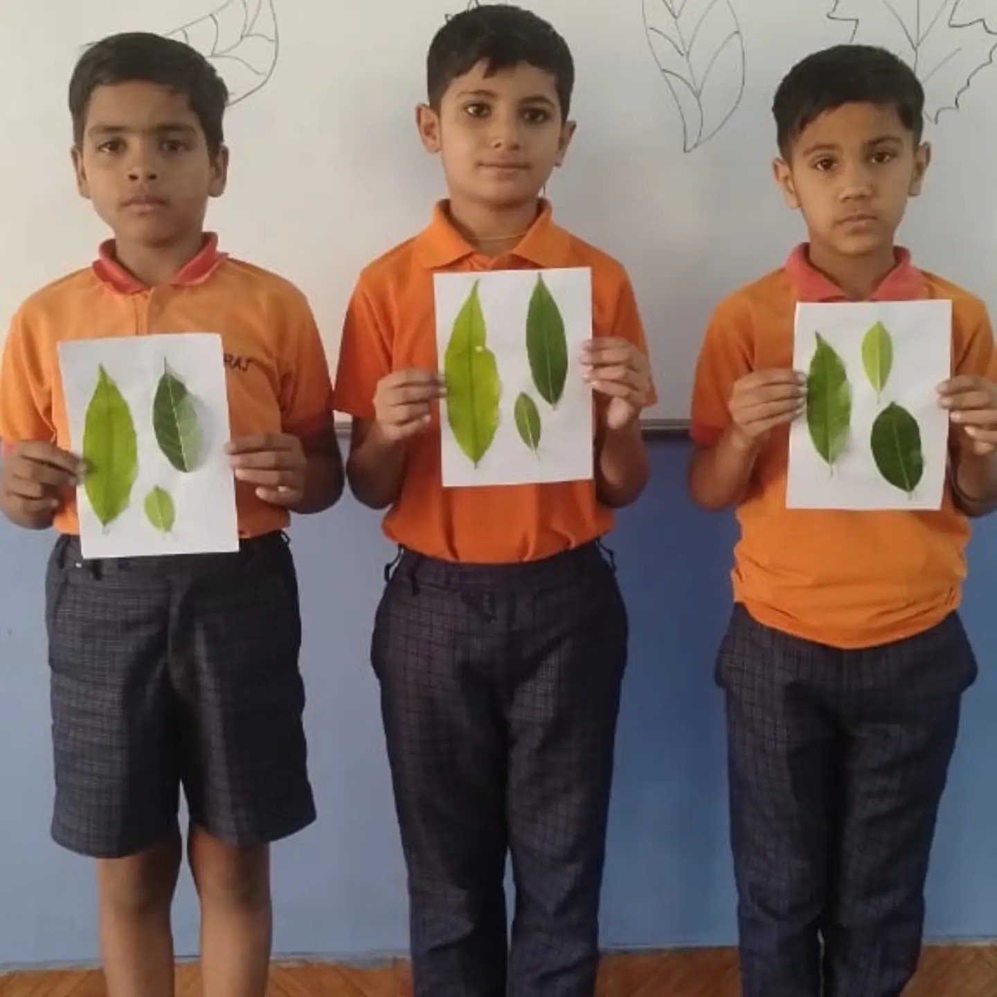 Leaf Pasting Activity