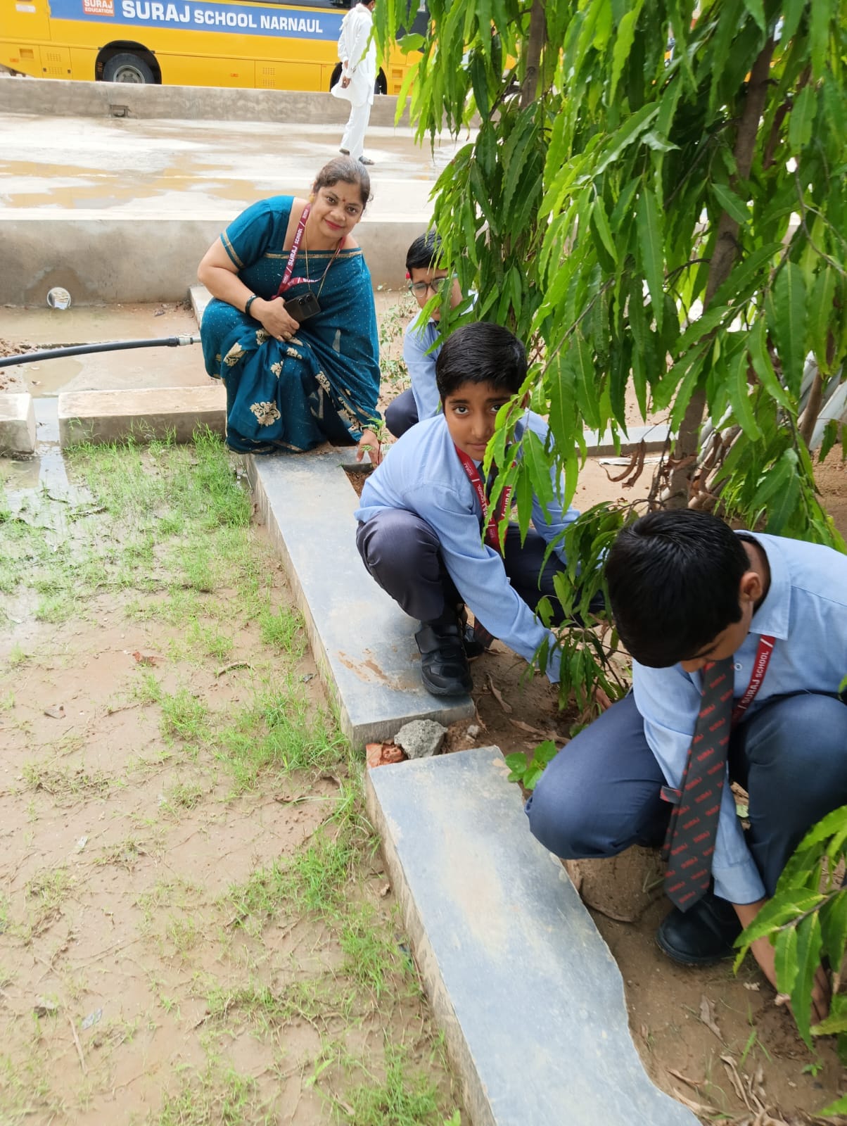 Plantation Drive