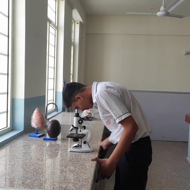 Class 9 Students Explore Onion Peel Under the Microscope