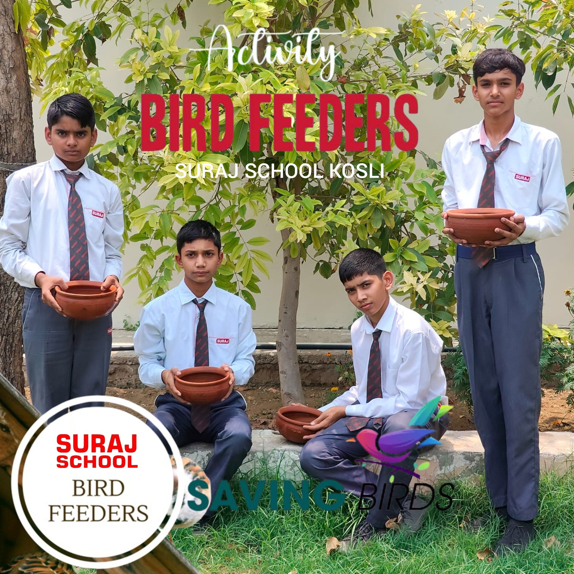 Bird Feeders