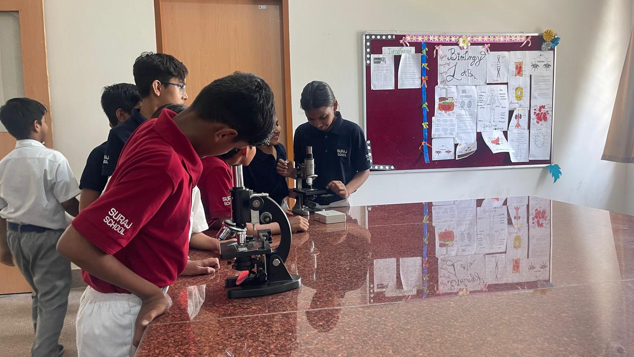 Zooming into the Microscopic World