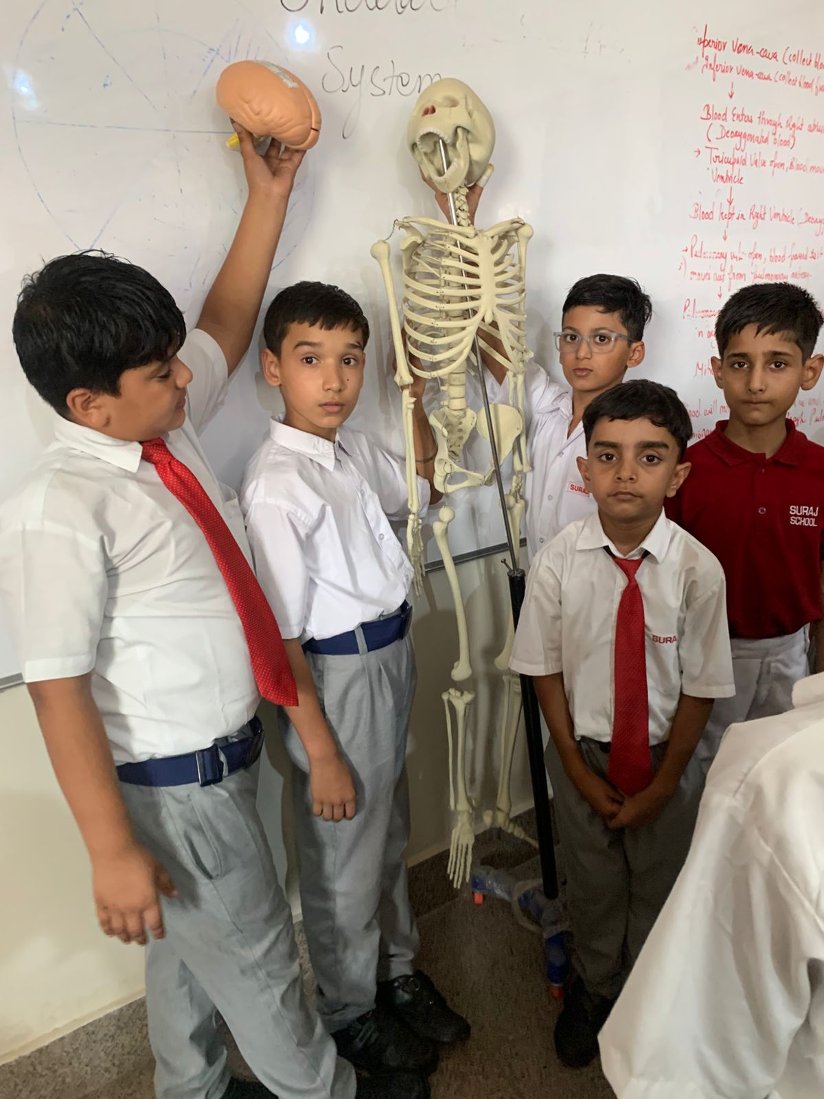 Bones, Body, and Big Discoveries